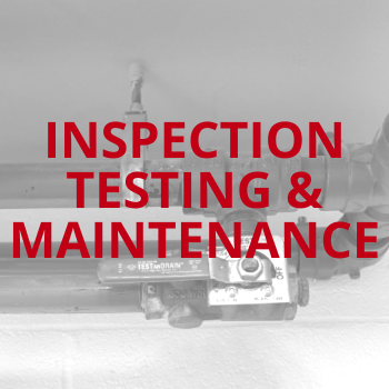 Inspector's test valve